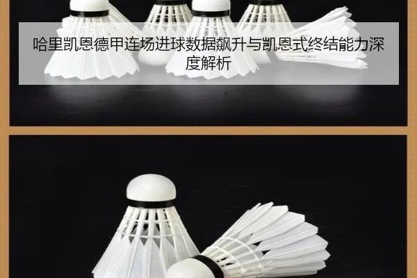 哈里凯恩德甲连场进球数据飙升与凯恩式终结能力深度解析
